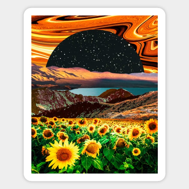 Sunflowers morning Magnet by Ali del sogno